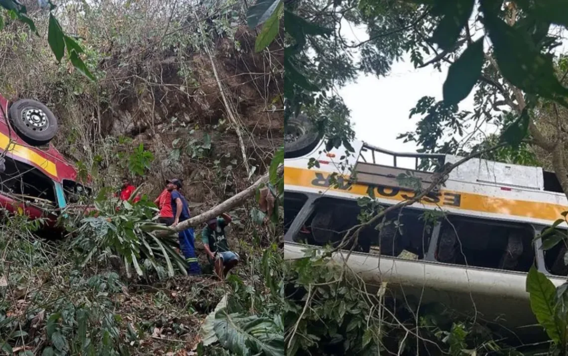 acidentado, ônibus, motorista