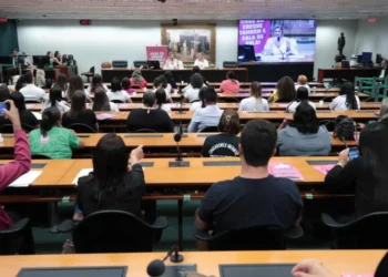 educação, magistério, professores; ;