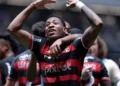 Flamengo, selecionáveis, reforços