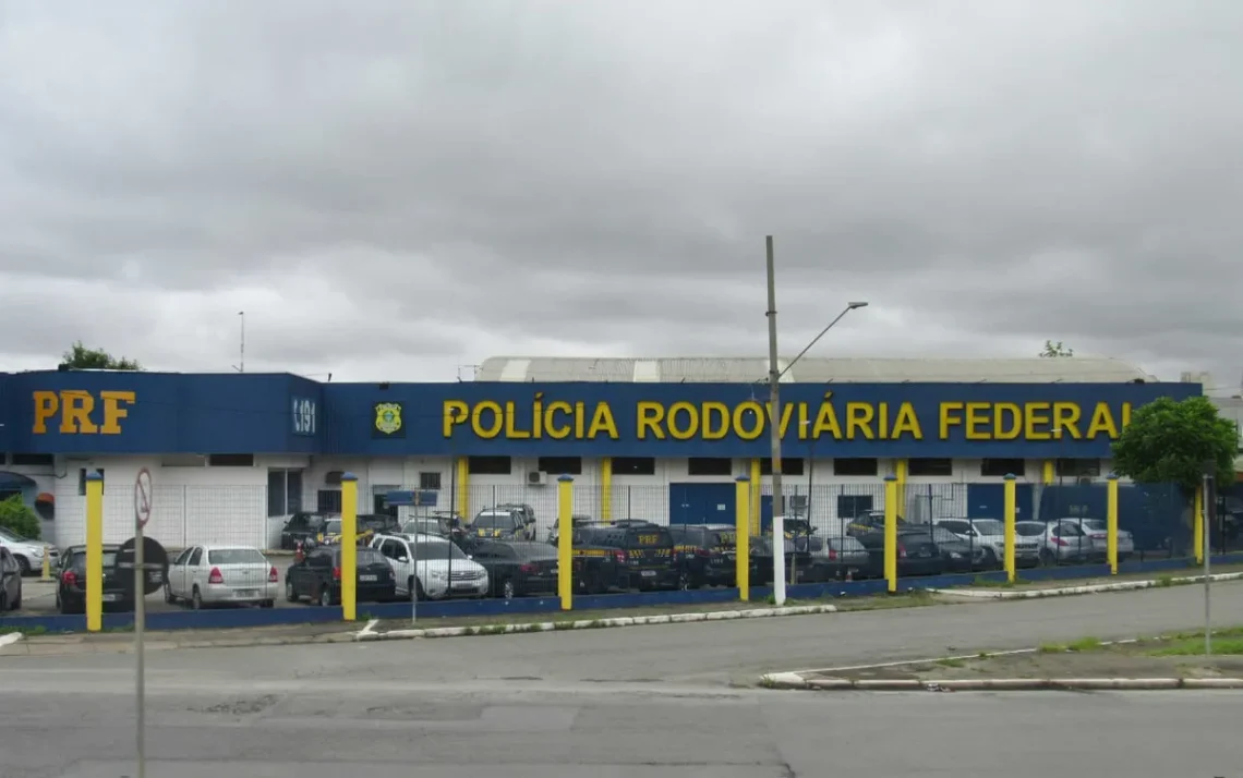 polícia, banco, furtado, dinheiro, fugindo