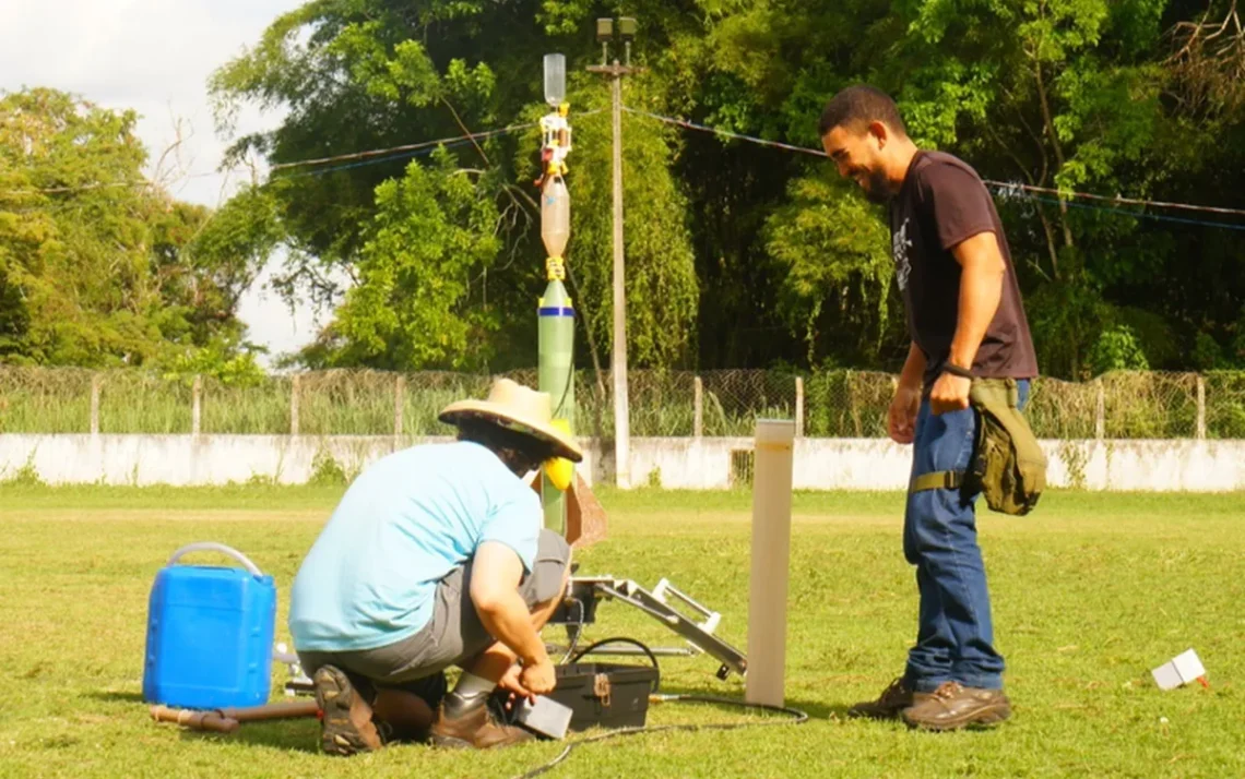 reforestação, reforestar;