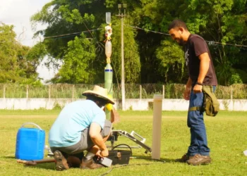 reforestação, reforestar;